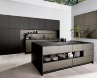 x os organic platin ee asteiche schwarz scaled x os organic platin ee asteiche schwarz scaled