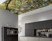 x os organic platin ee asteiche schwarz scaled x os organic platin ee asteiche schwarz scaled