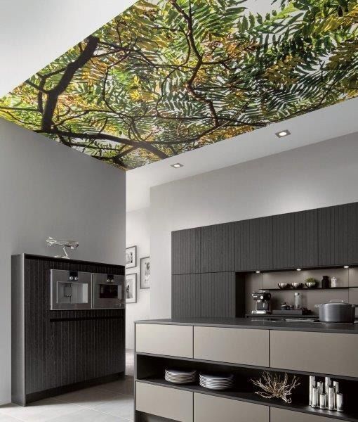 x os organic platin ee asteiche schwarz scaled x os organic platin ee asteiche schwarz scaled